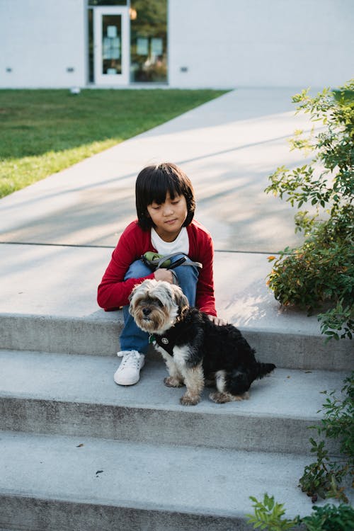 Asiatischer Junge, Der Kleinen Hund Auf Treppen In Der Stadt Streichelt