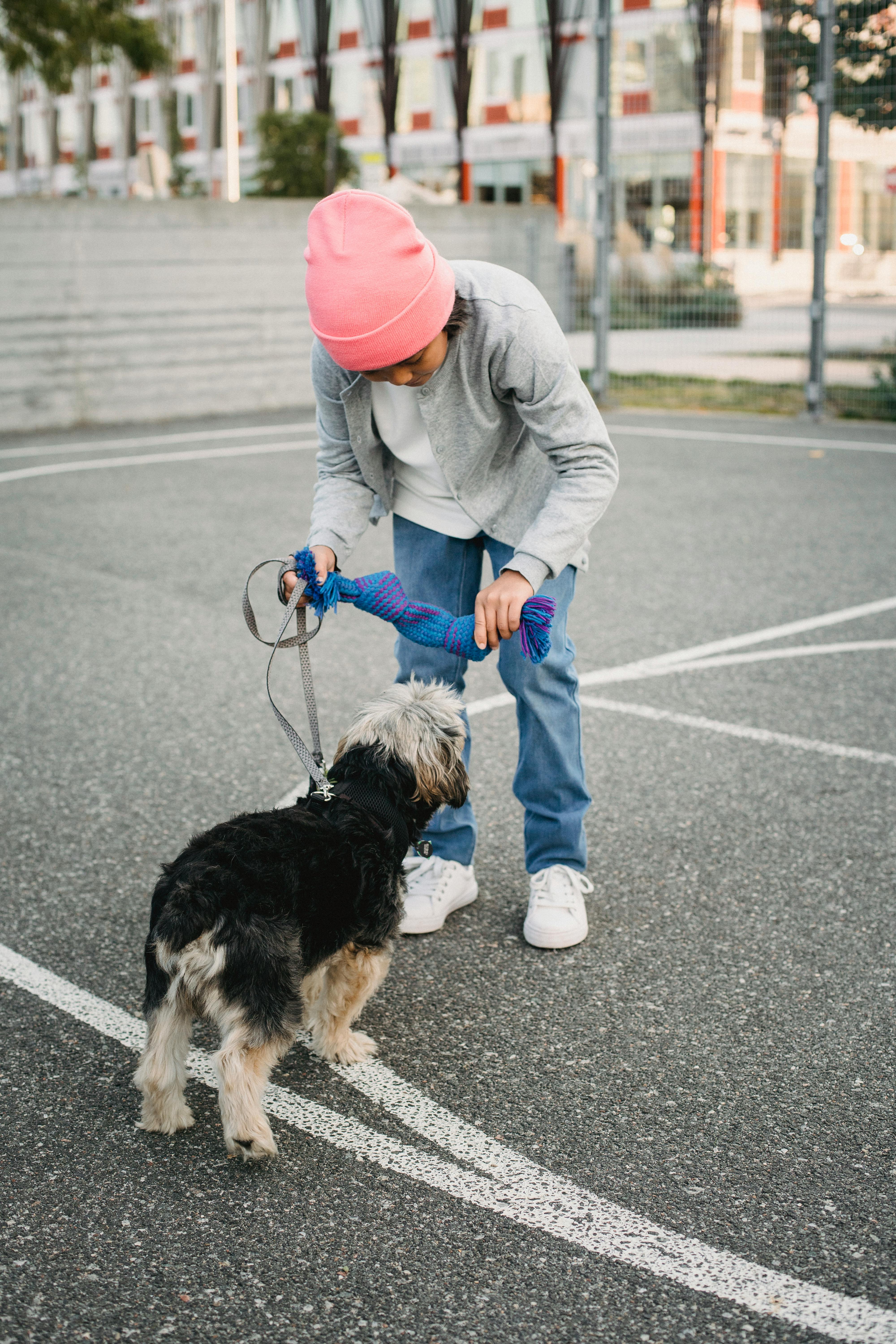 unrecognizable ethnic child training yorkshire terrier on sports ground