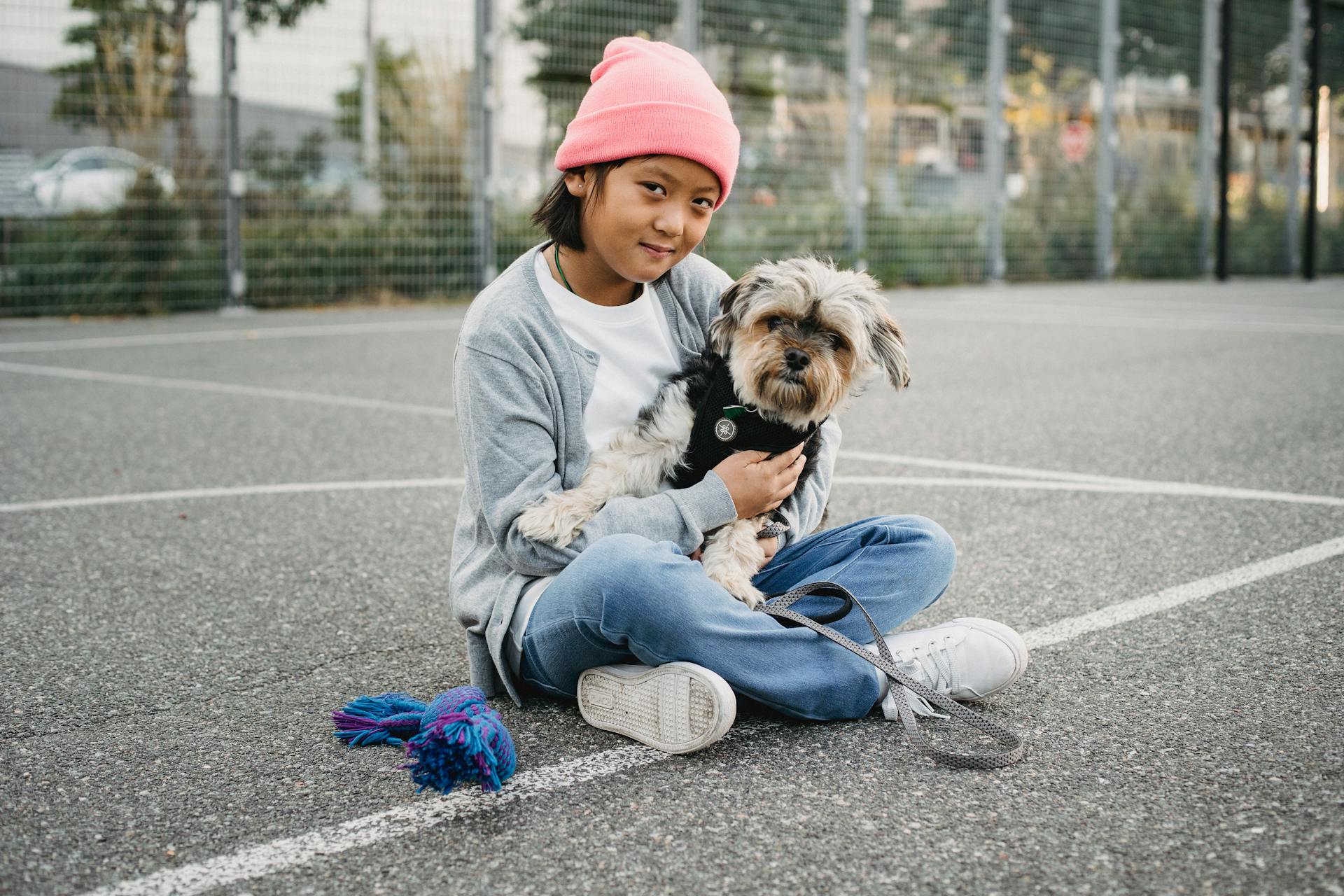 Charming Asian boy with Yorkshire Terrier on sports ground