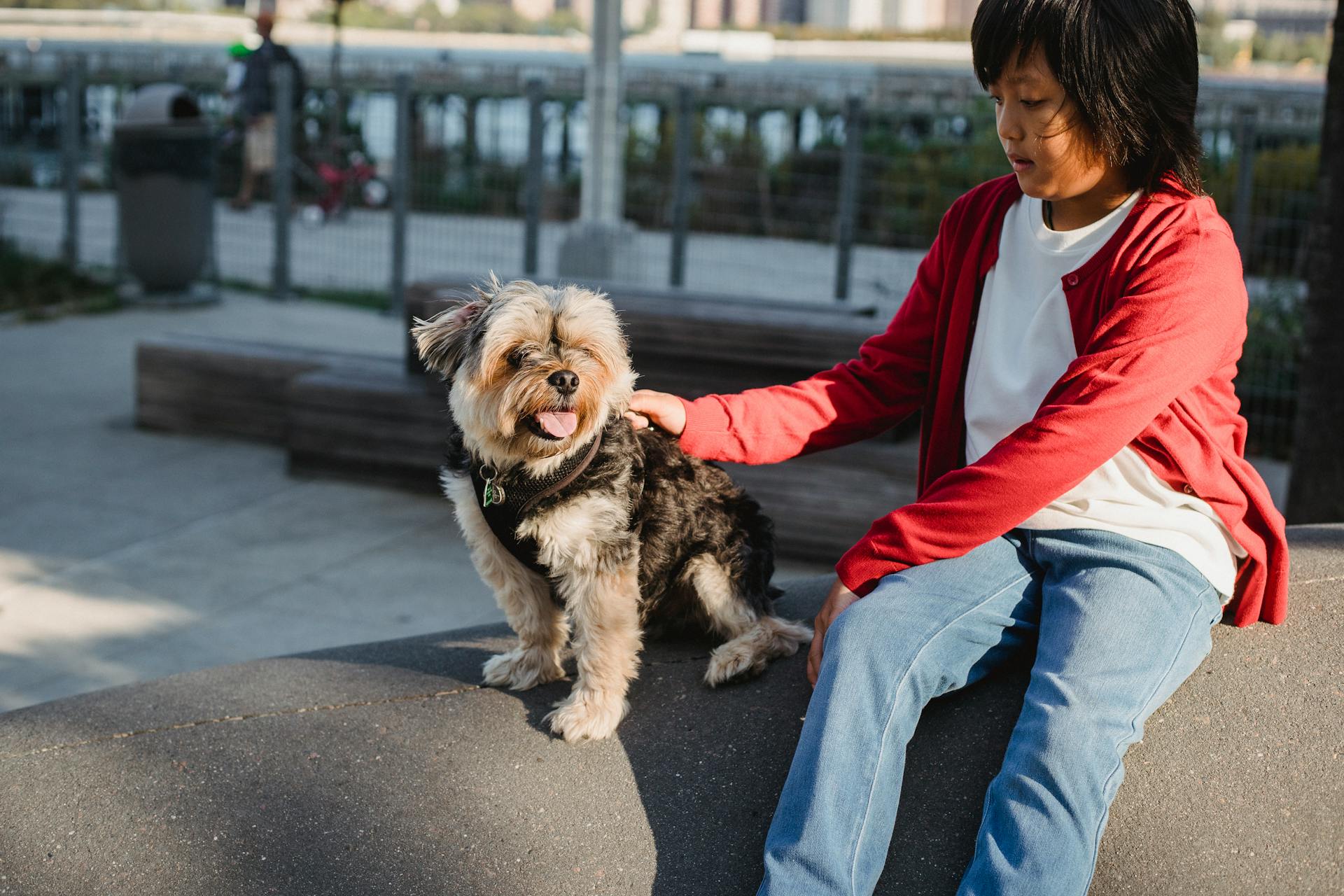 Crop ethnic child stroking small dog with tongue out while resting on cement platform in sunlight