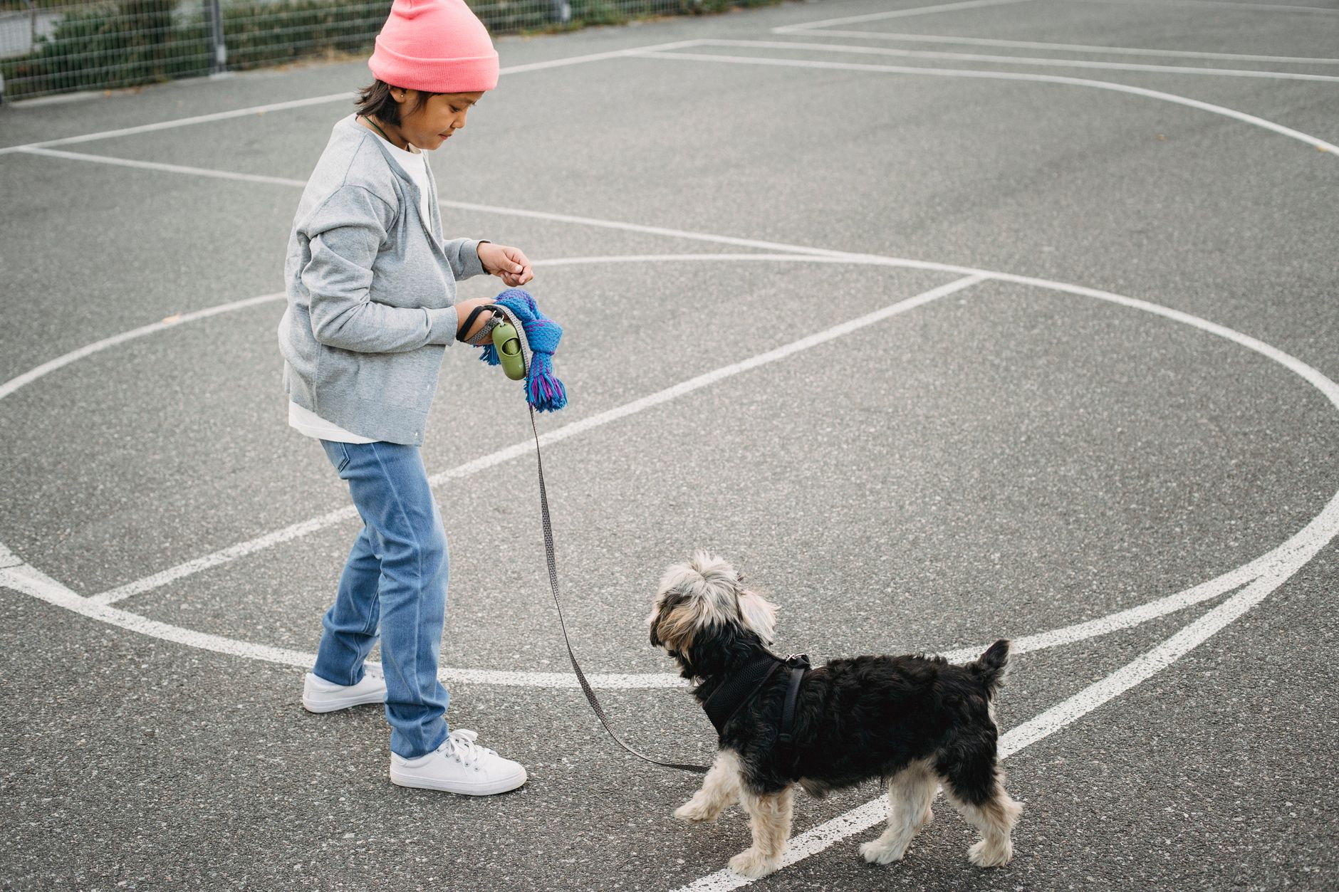 High angle side view of crop Asian kid training purebred dog on leash on asphalt pavement in city