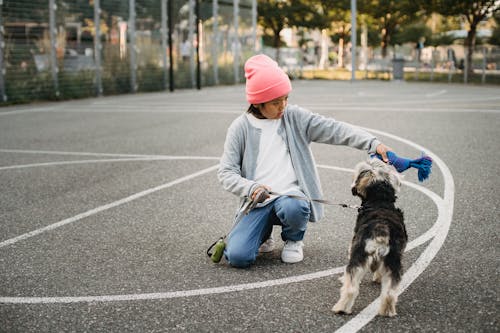 Ethnic kid showing command to intelligent dog while squatting on asphalt pavement in city