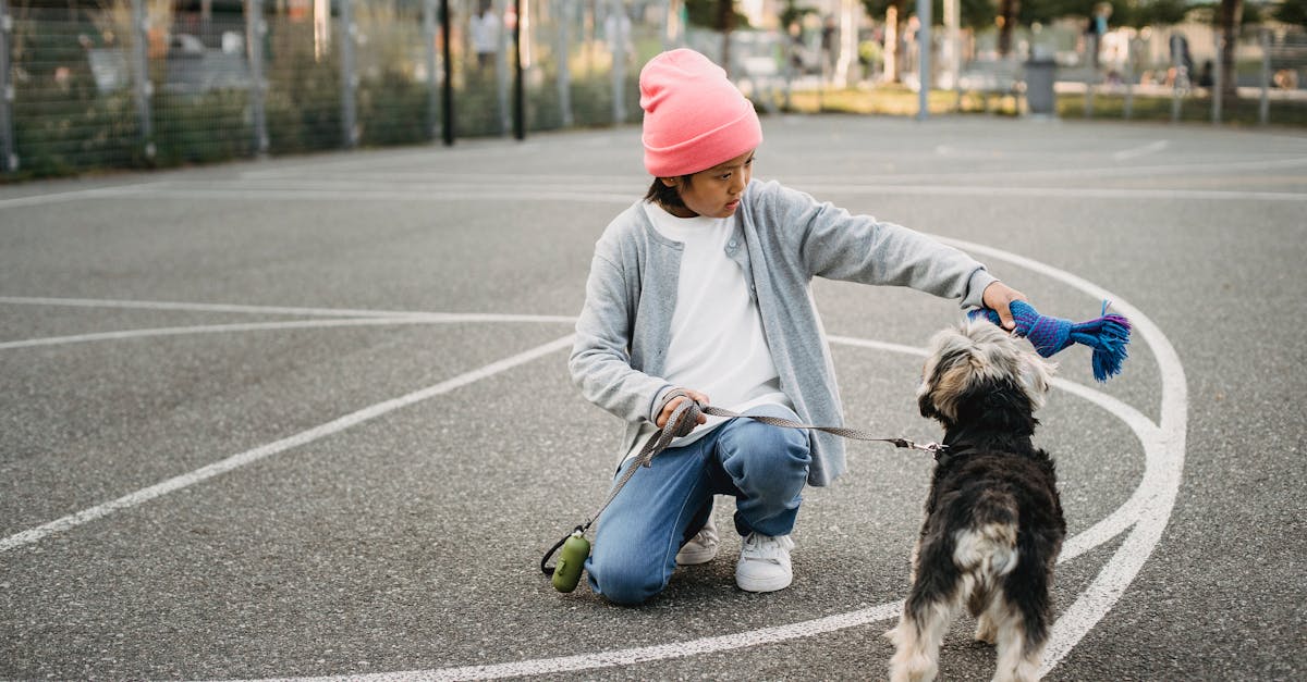 How to train your dog to speak