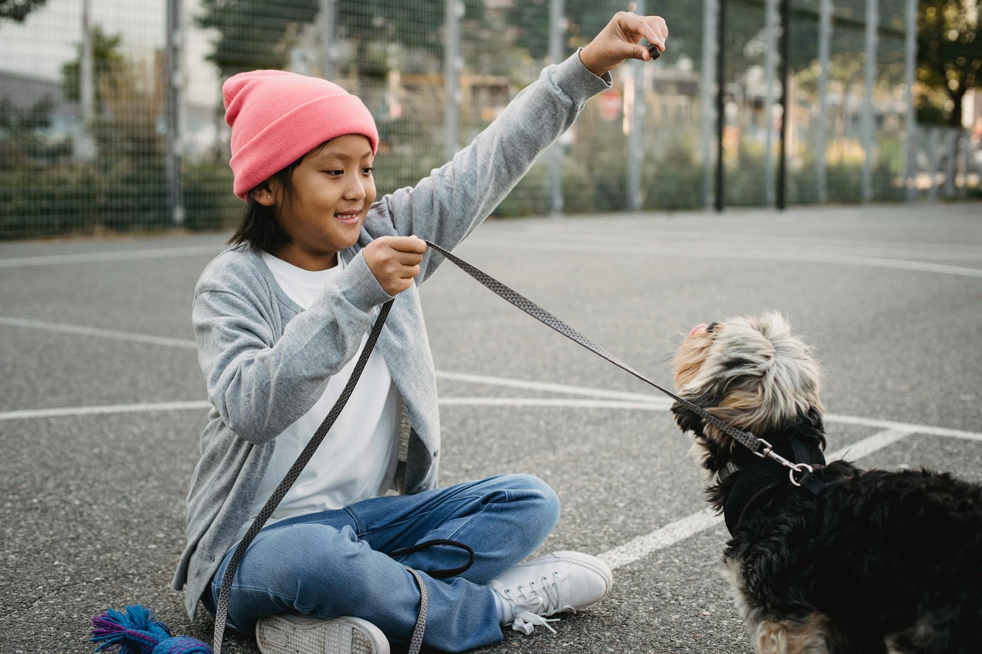 Smiling Asian boy training purebred dog on sports ground