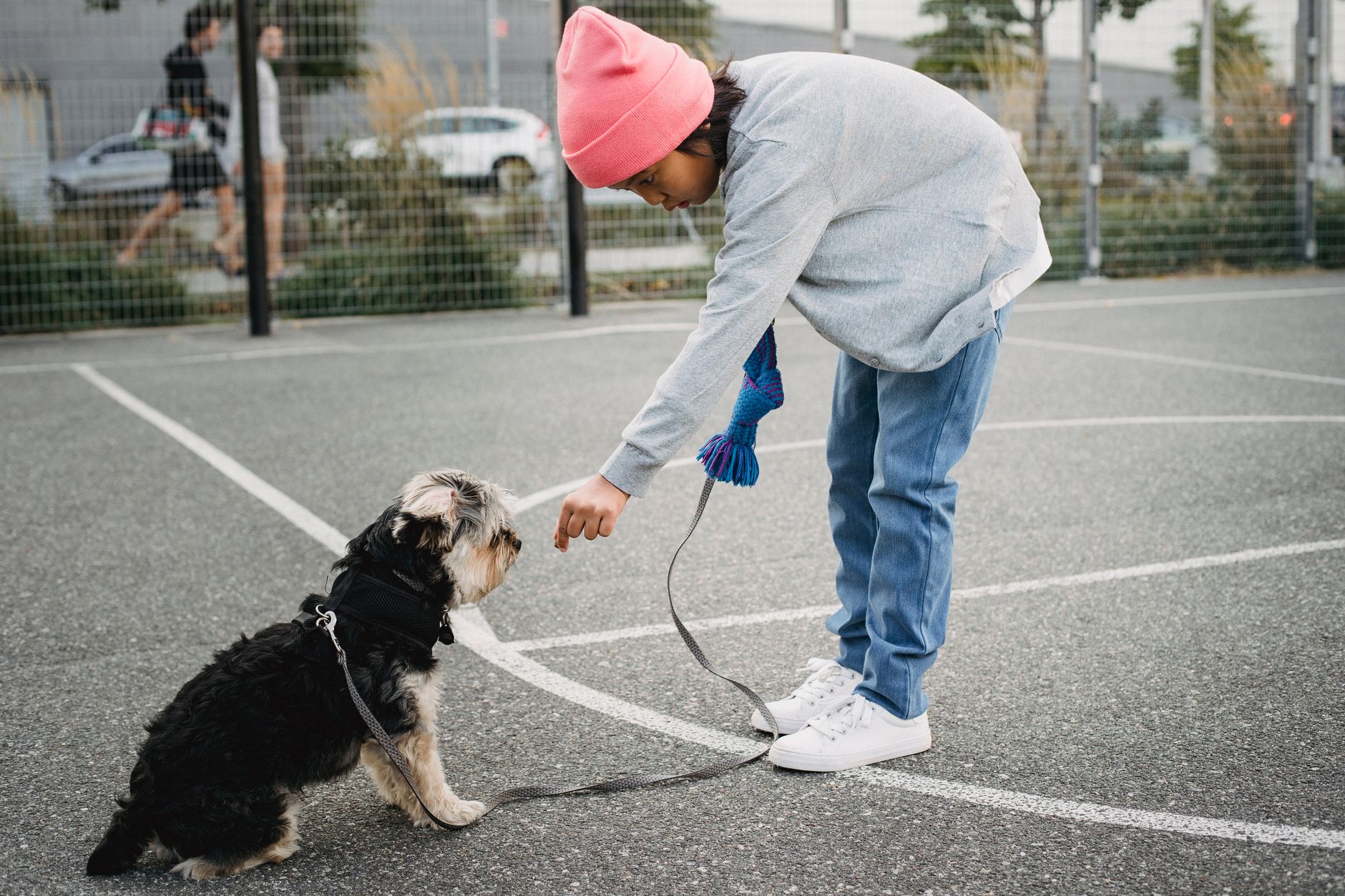 dog greeting owner calmly training