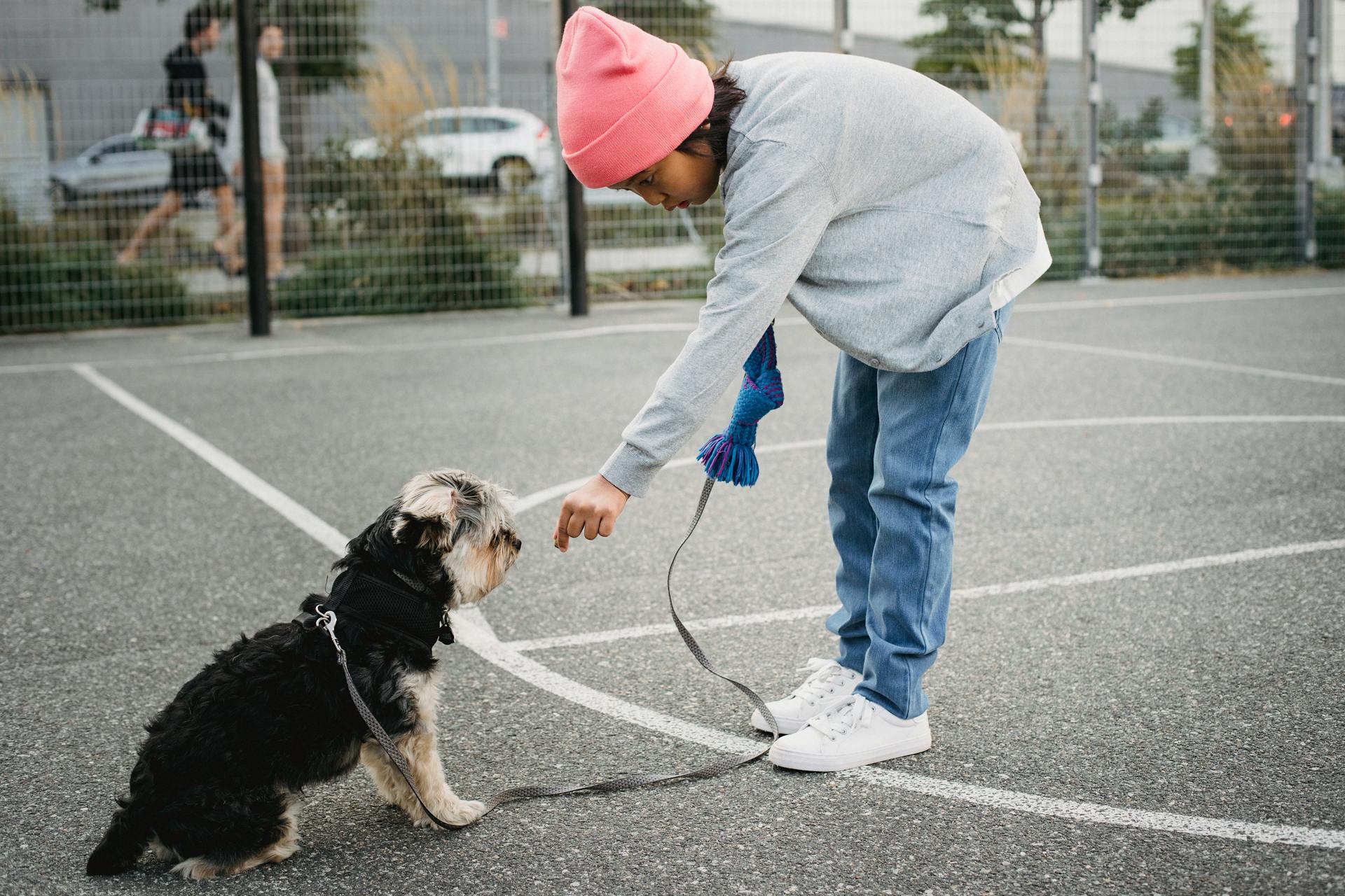 Side view of ethnic child in casual outfit training intelligent purebred dog on asphalt pavement in city