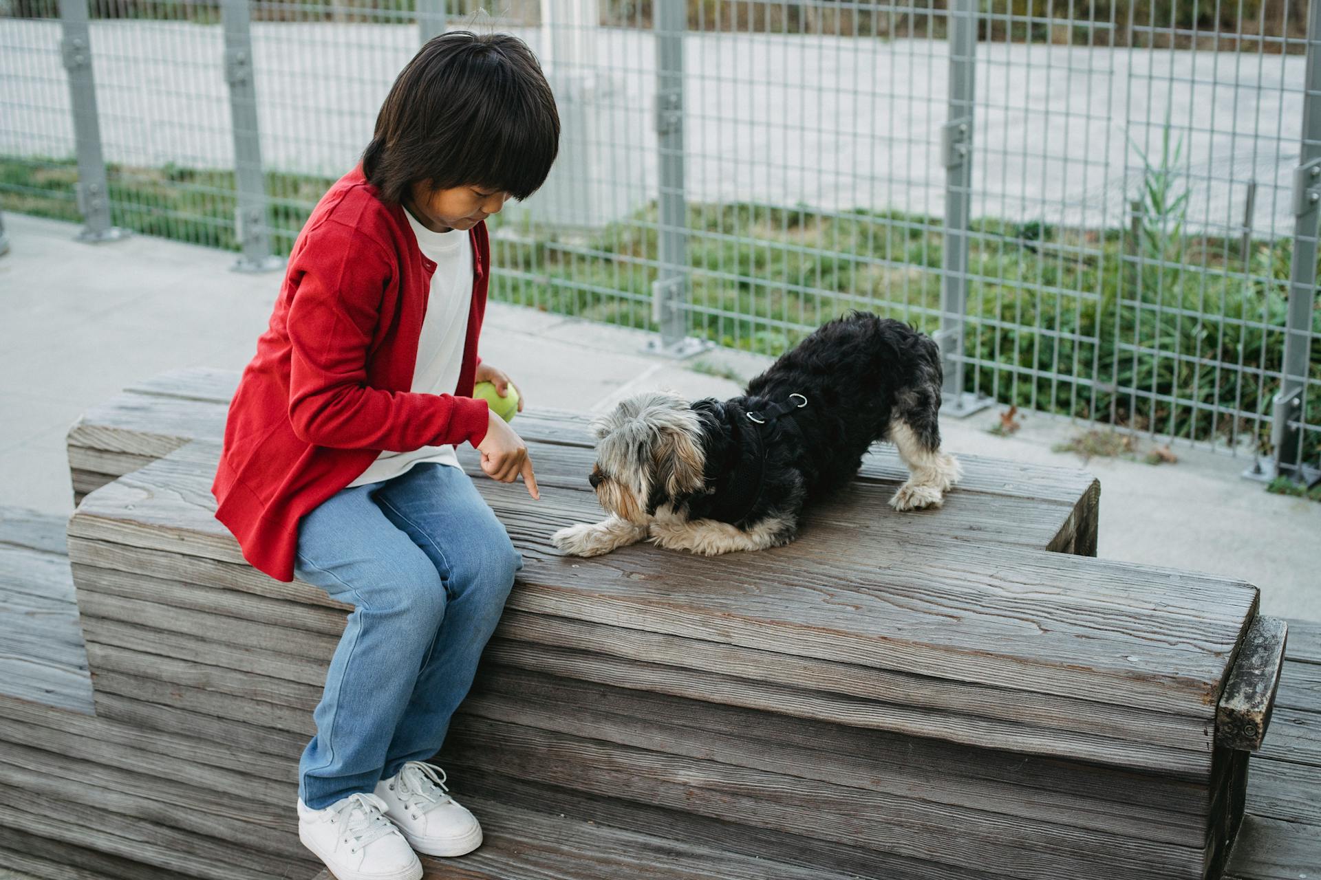 Från ovan på asiatiskt barn som pekar med fingret på plattformen medan man tränar en intelligent hund i stan