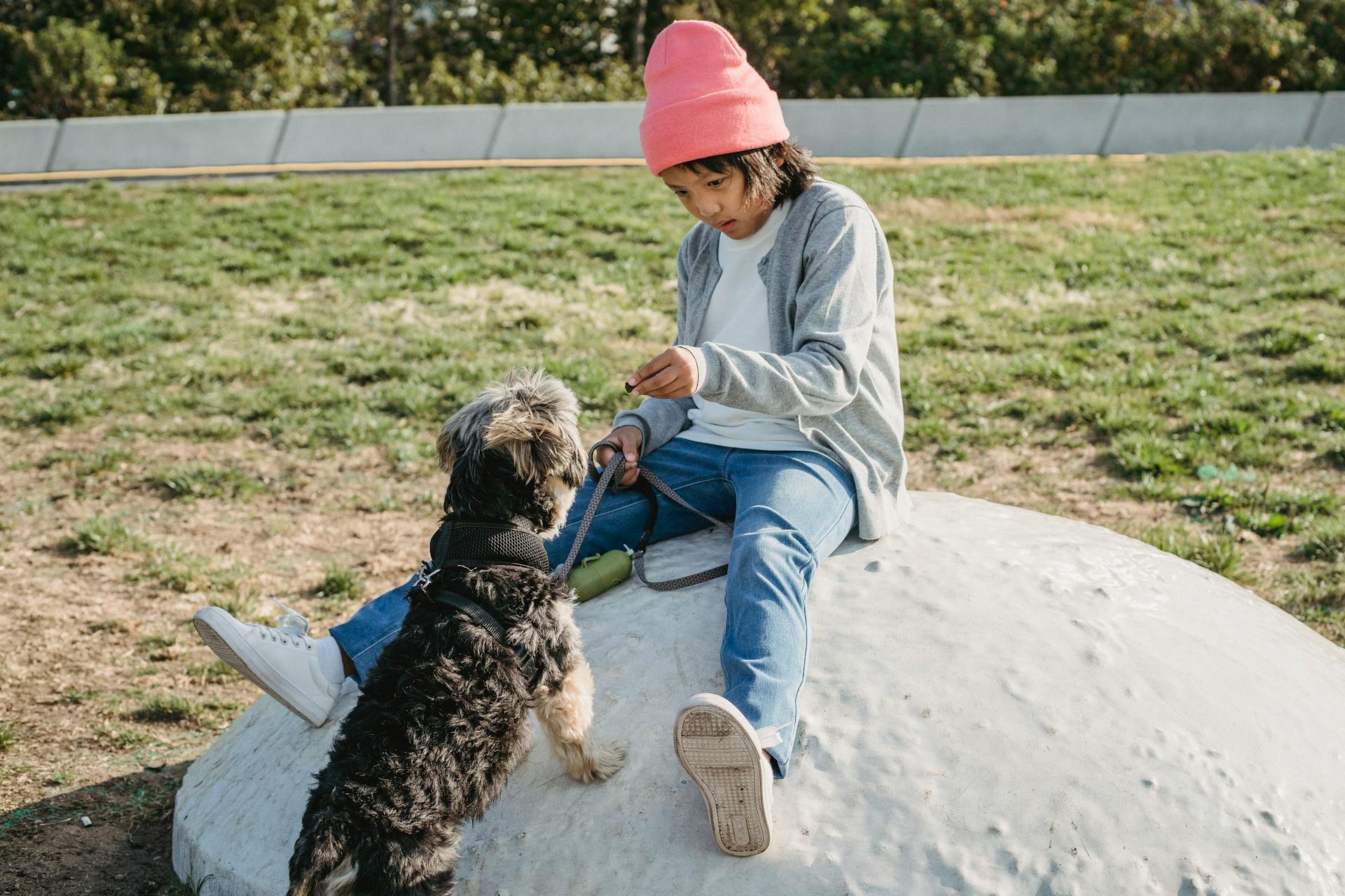 Enfant ethnique attentif en vêtements décontractés apprivoisant un Yorkshire Terrier en laisse en ville par une journée ensoleillée