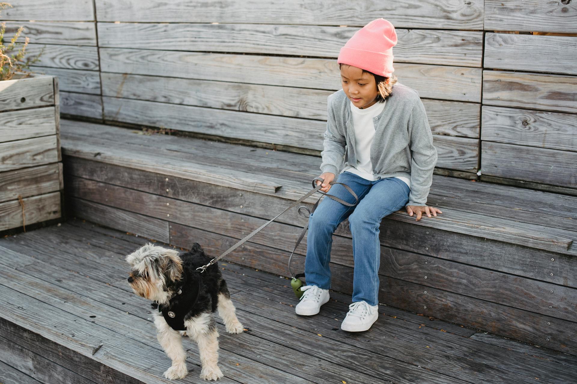 Asian boy with Yorkshire Terrier on leash resting on stairs