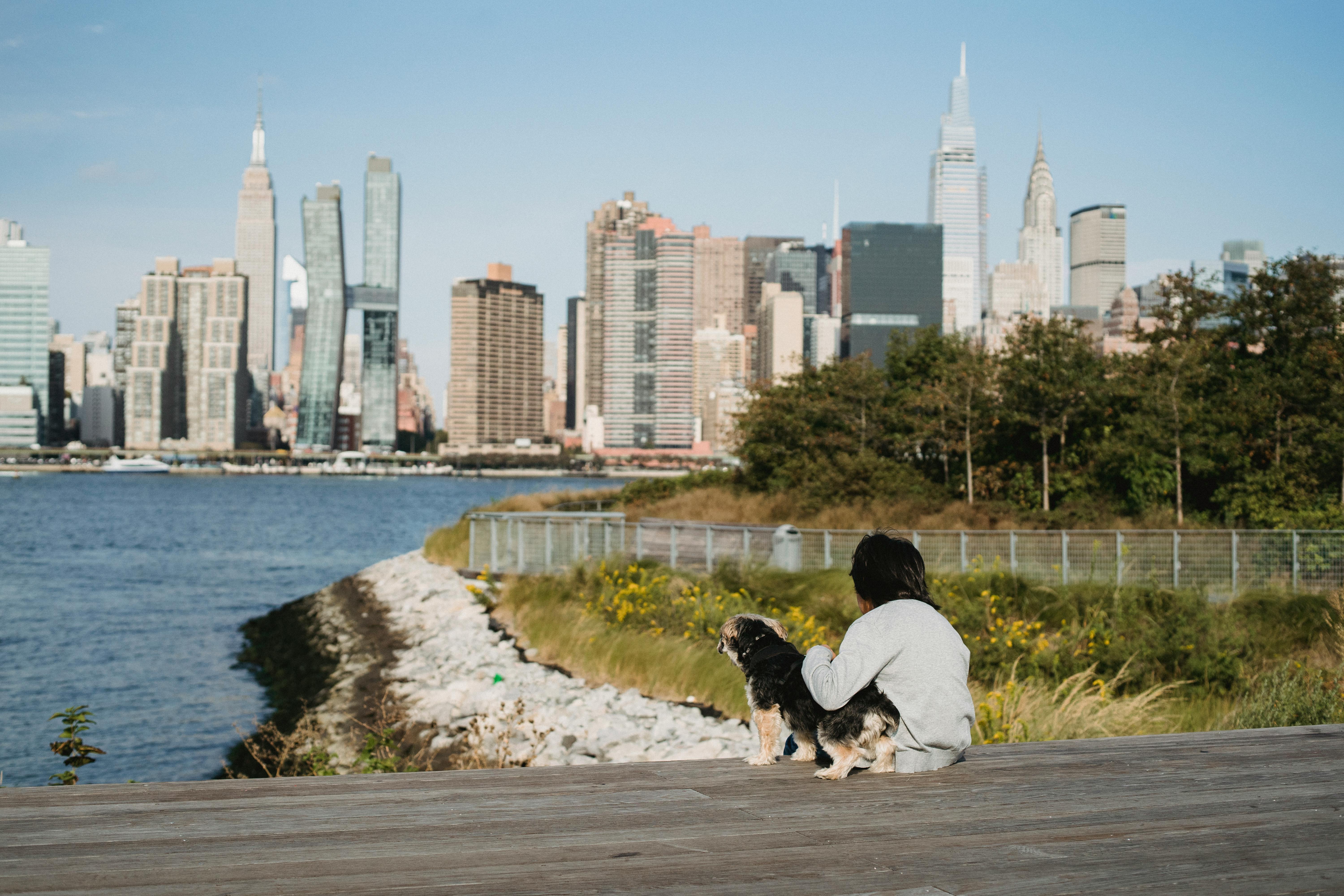 River North skyline with dog - large dog friendly apartments chicago