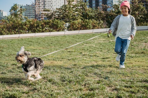 都会の芝生の上で速い犬と一緒に走っている陽気なアジアの少年