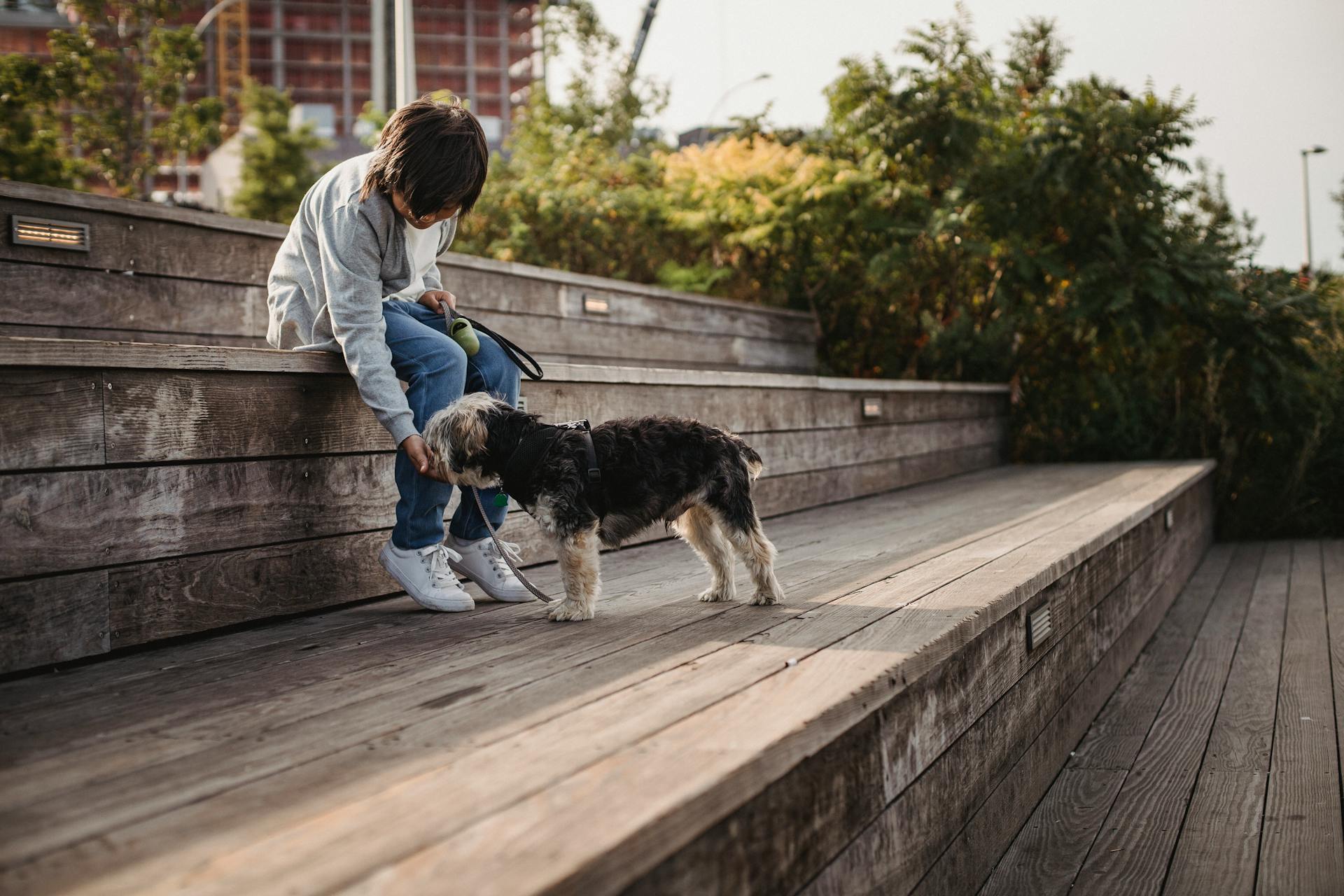 Unrecognizable ethnic child with Yorkshire Terrier on city stairs