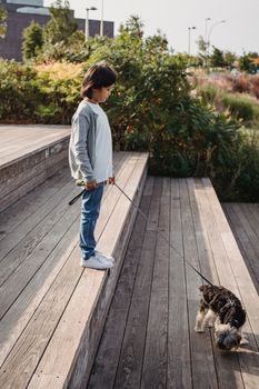 阳光下，一个少数族裔孩子牵着约克夏梗，站在城市楼梯的侧面