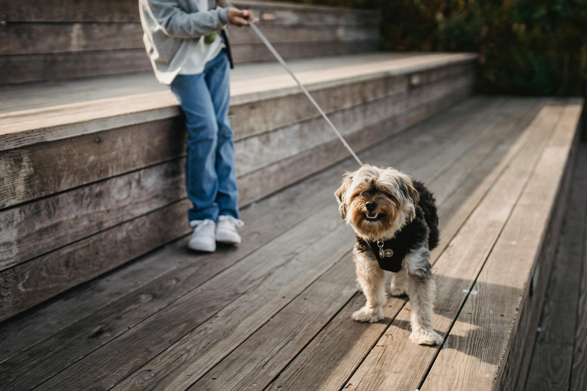 Crop gezichtsloze kind in casual kleding staat op een houten loopbrug en houdt een pup aan de leiband