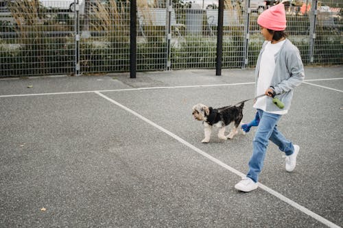 Happy ethnic boy walking with dog