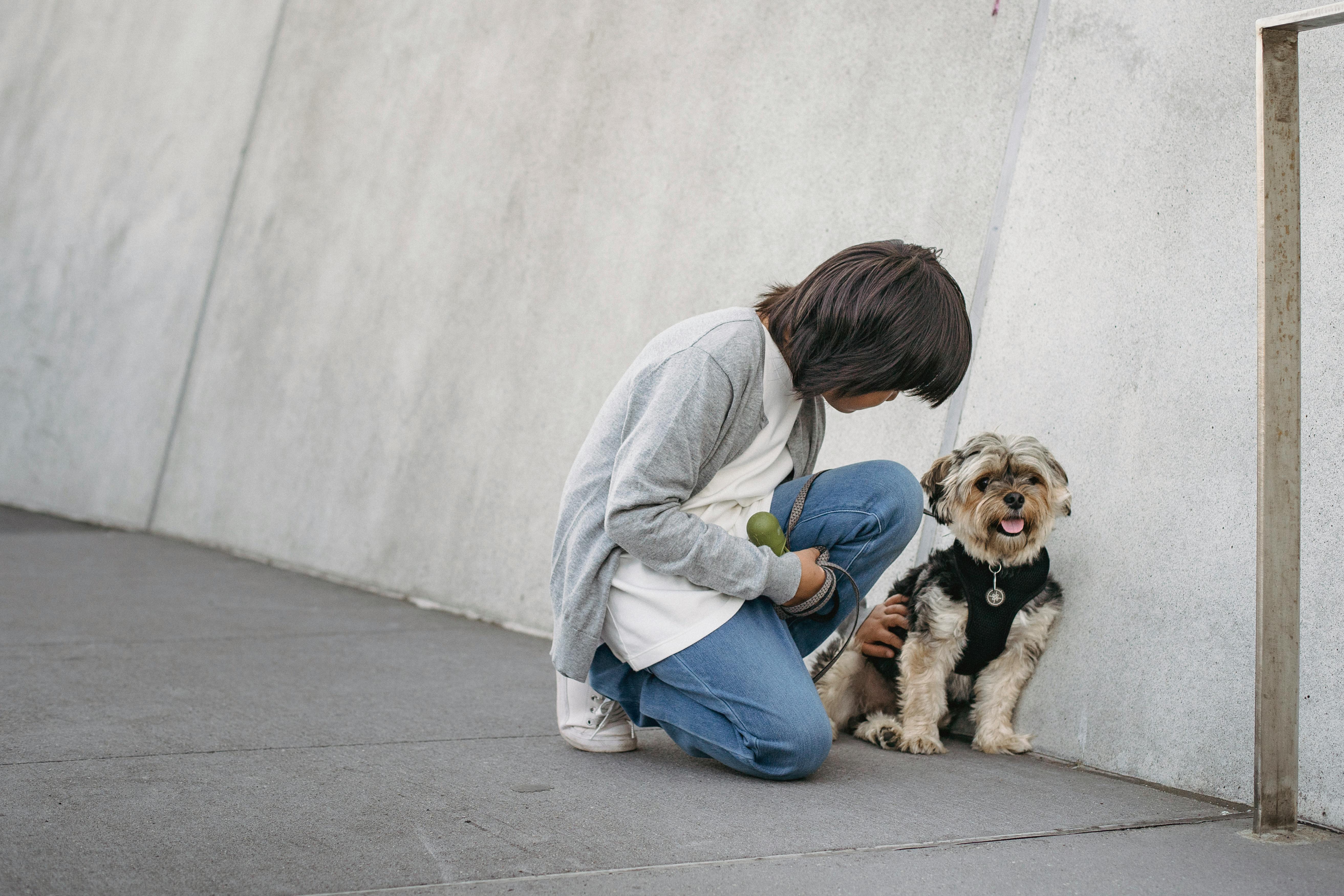 little boy stroking dog on street