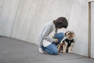 一个小男孩跪在户外的混凝土墙上，紧紧抱着一只小约克郡梗