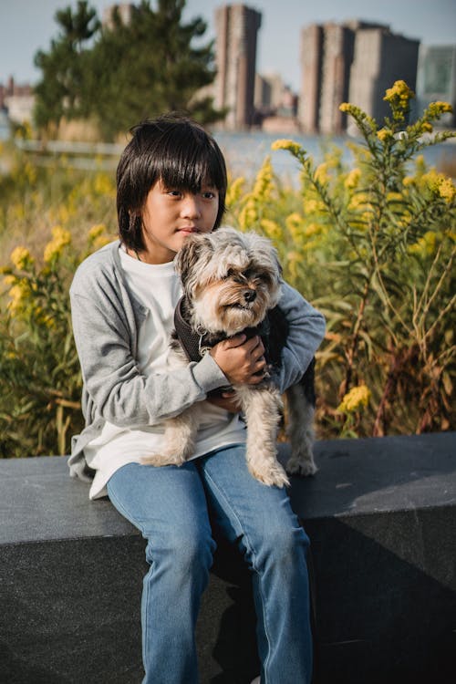 Free Attentive Asian kid in casual outfit resting on border while embracing cute puppy and looking away Stock Photo