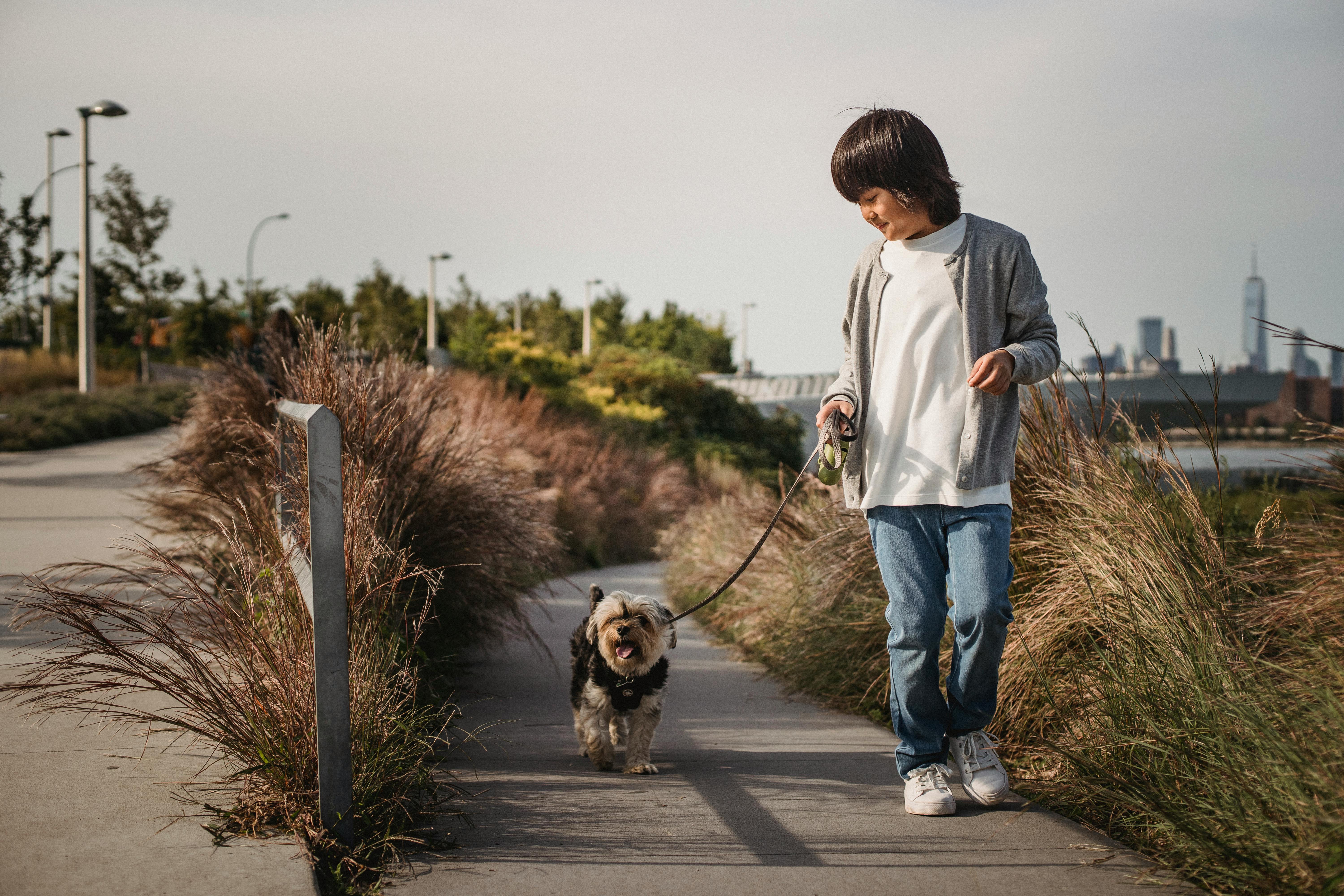 ethnic little boy walking with dog