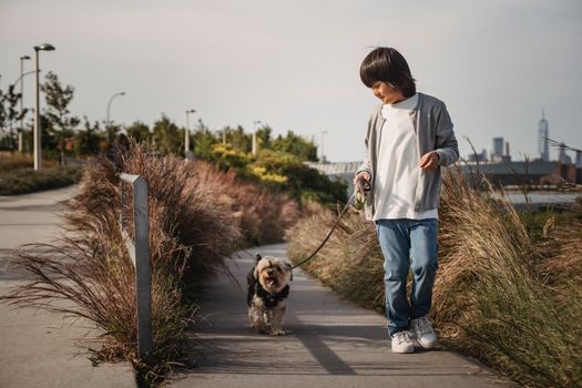 一个快乐的小男孩在风景优美的城市公园里遛他的约克郡梗犬