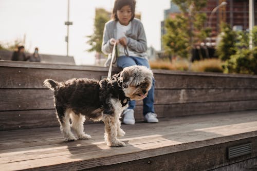 Ragazzino Etnico Con Il Cane Al Guinzaglio