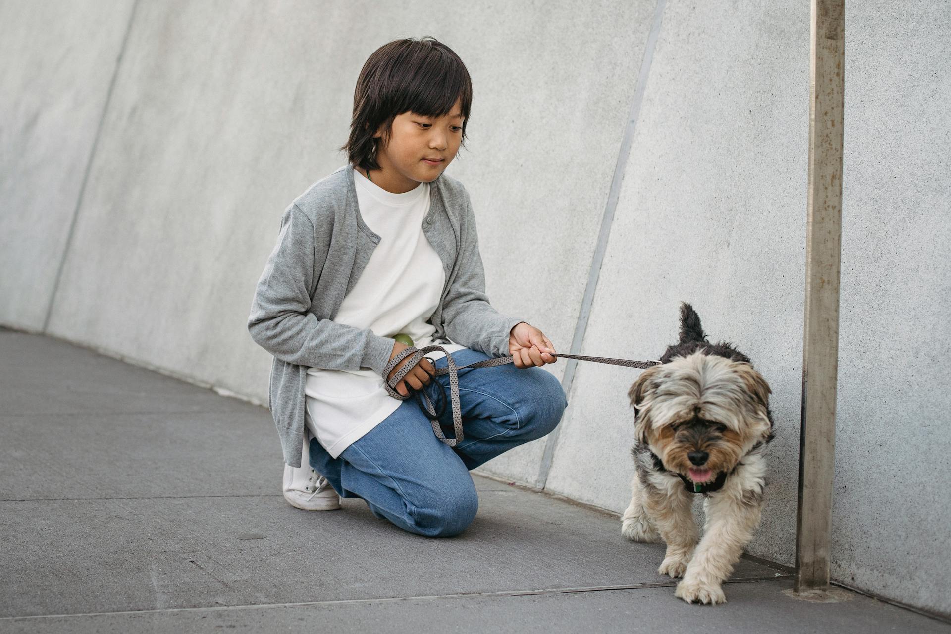 Asian kid in casual outfit squatting and holding leash with dog while spending weekend together