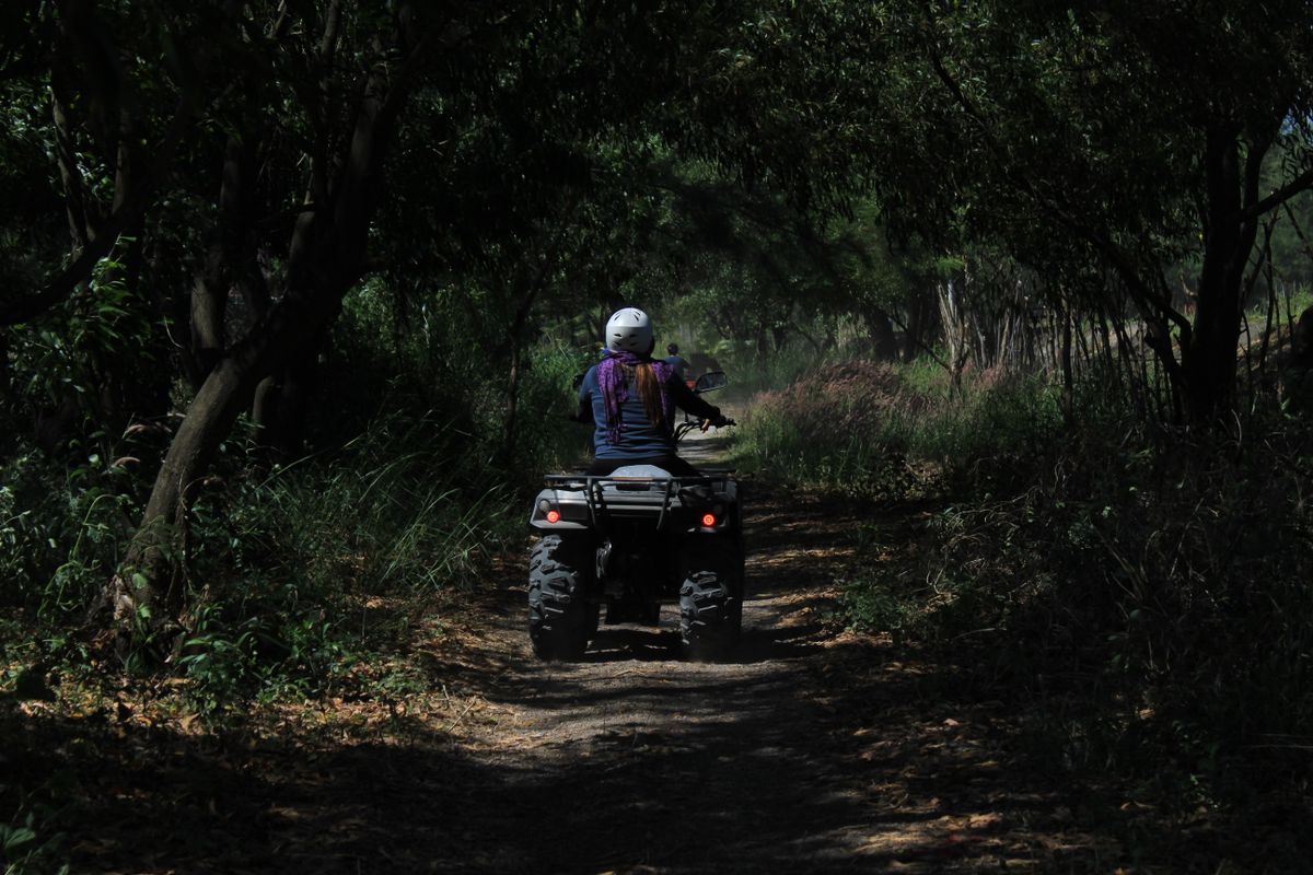 ATV rider wearing white safety helmet riding quad bike on shaded dirt trail through dense forest