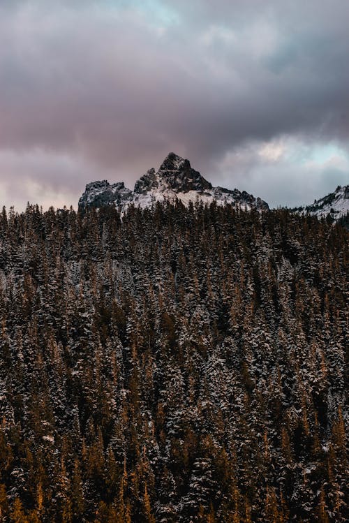 Rough mountain near lush trees under cloudy sky at sunset