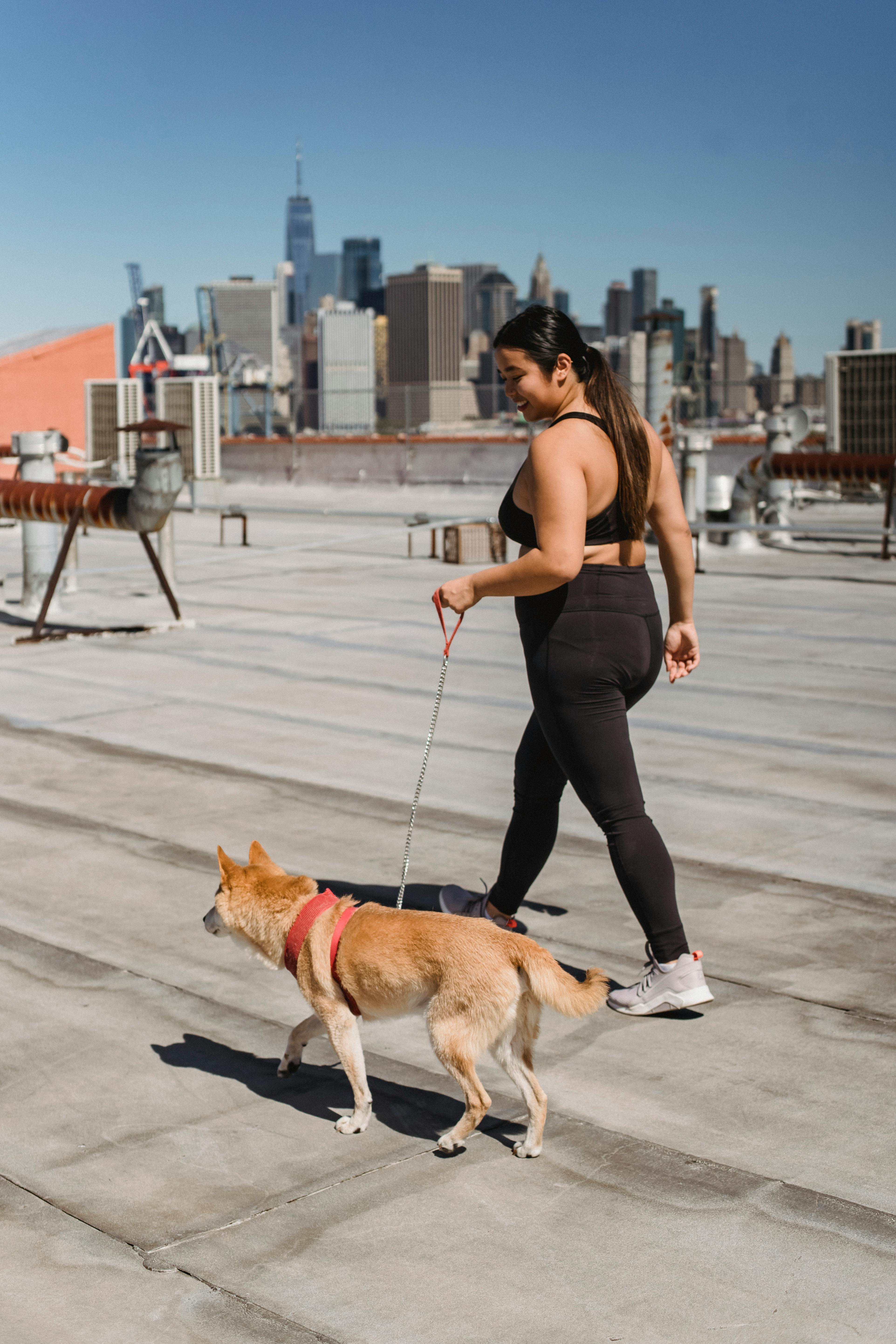 Full body of plus size female owner walking with obedient purebred dog on roof