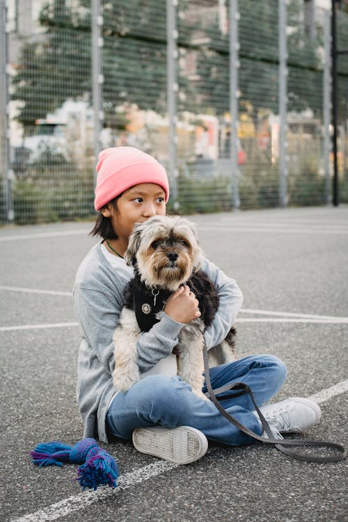 Dreamy Asian boy embracing Yorkshire Terrier on sports ground
