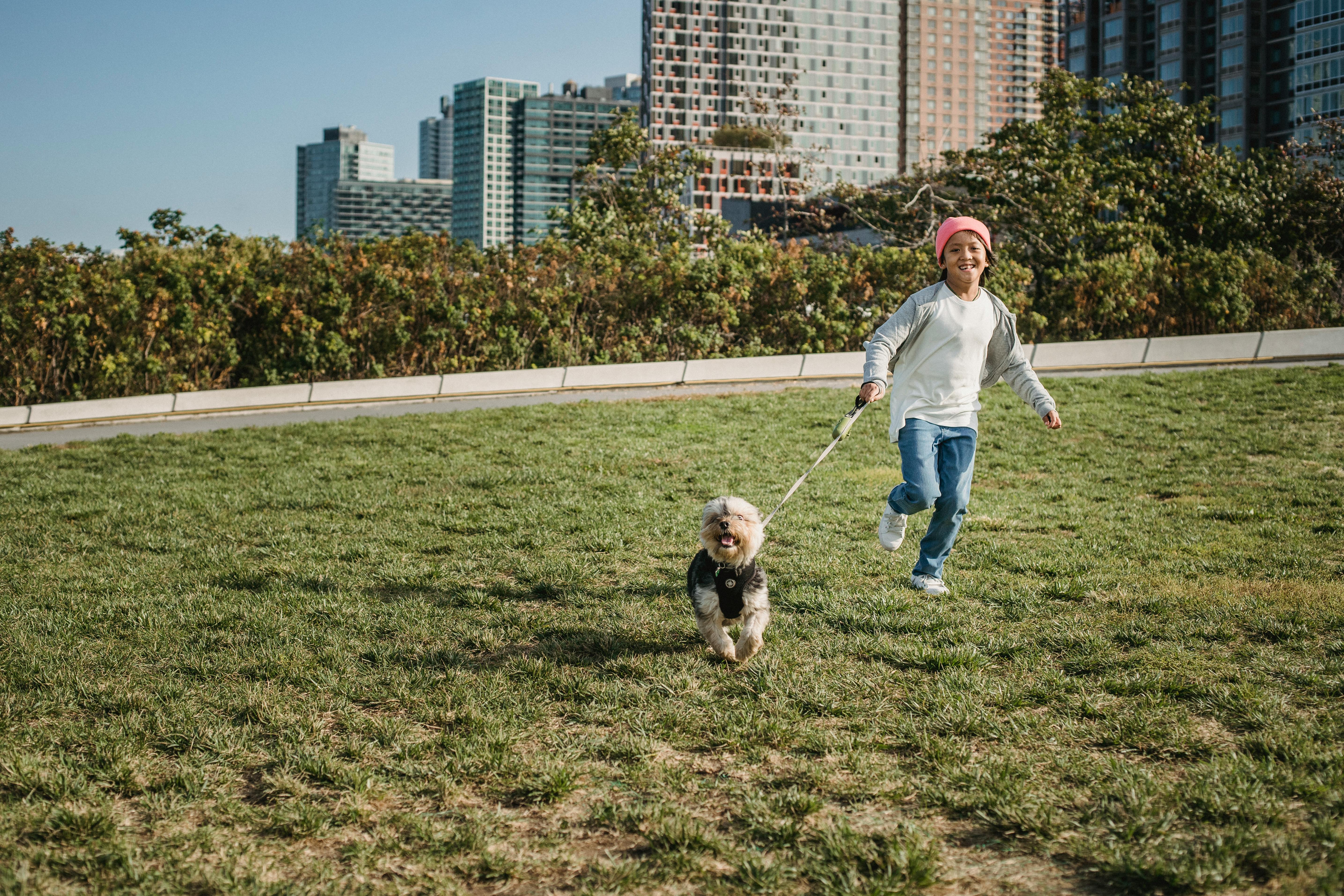 Cheerful ethnic kid running with Yorkshire Terrier on lawn against modern buildings in city and looking at camera