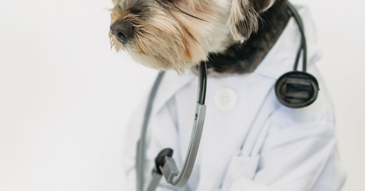 What does MD and do stand for in medical terms