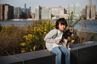 一个小男孩带着他的梗犬坐在墙上，俯瞰着城市的天际线