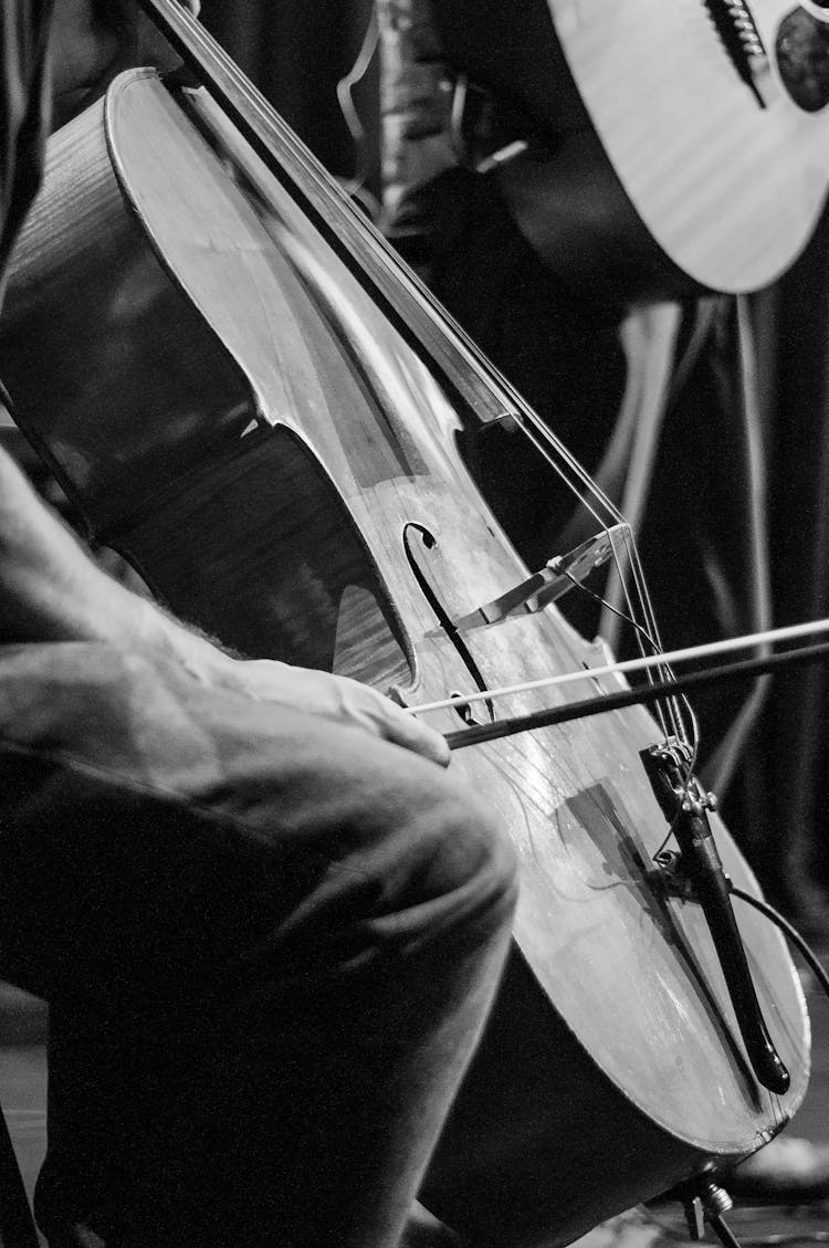 Crop Musicians With Cello And Acoustic Guitar During Concert