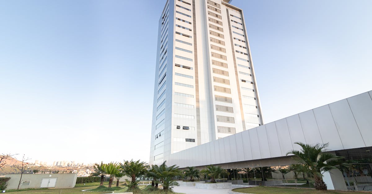 How does a jellyfish grow and develop