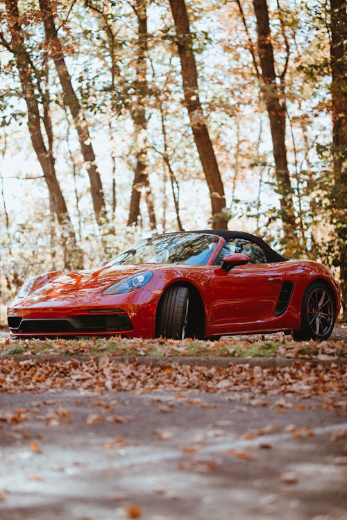 A Red Car Near Trees