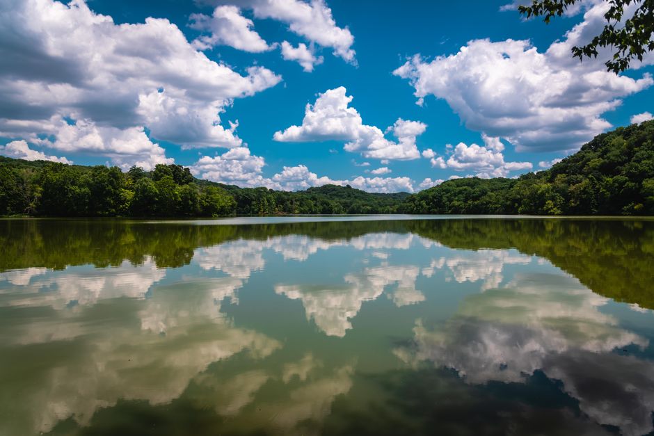 scenic lakefront views in Tennessee with a pontoon boat and dogs swimming scenic lakefront views in Tennessee with a pontoon boat and dogs swimming