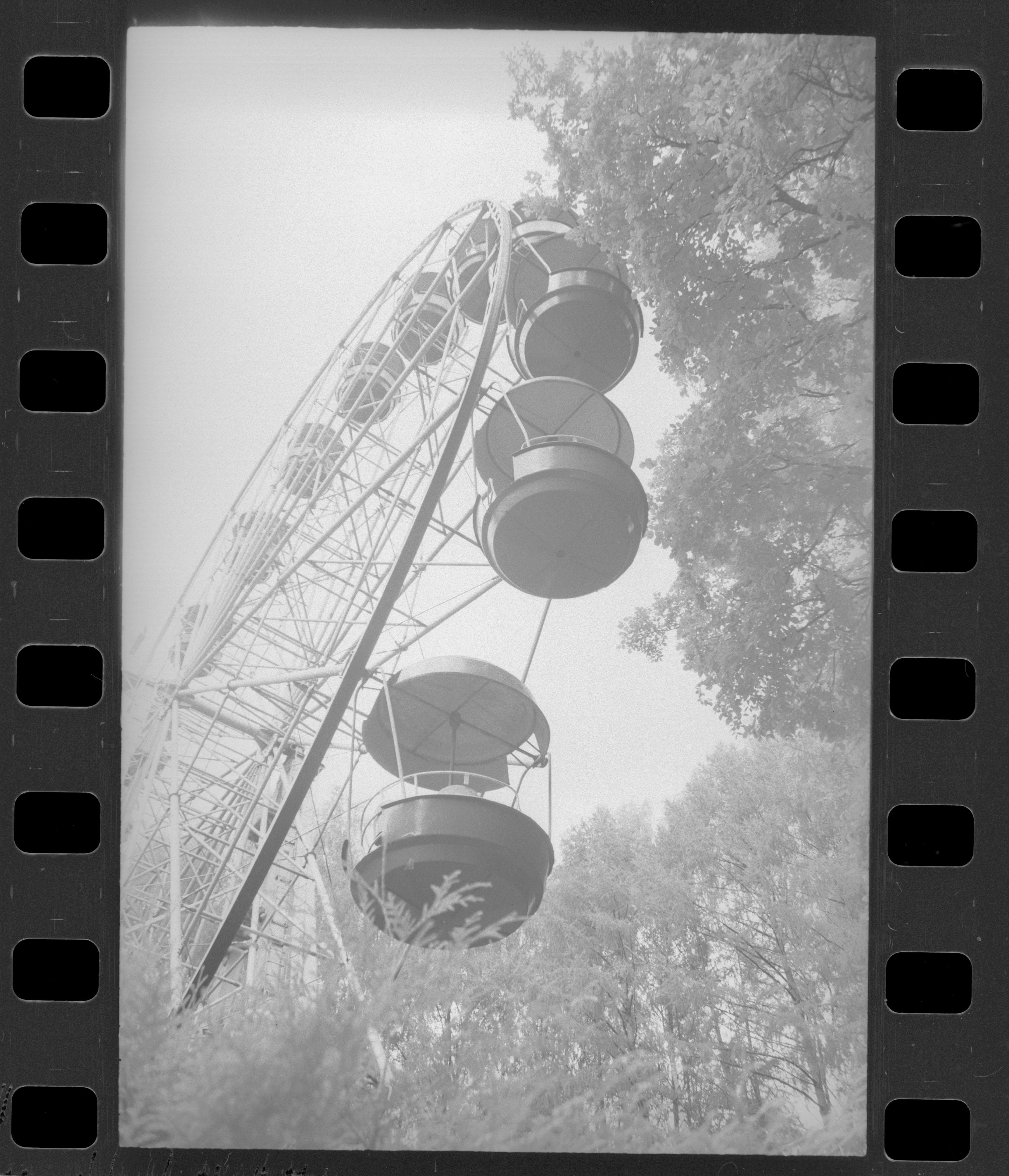 Retro Ferris wheel image in grayscale with trees, reminiscent of film photography.