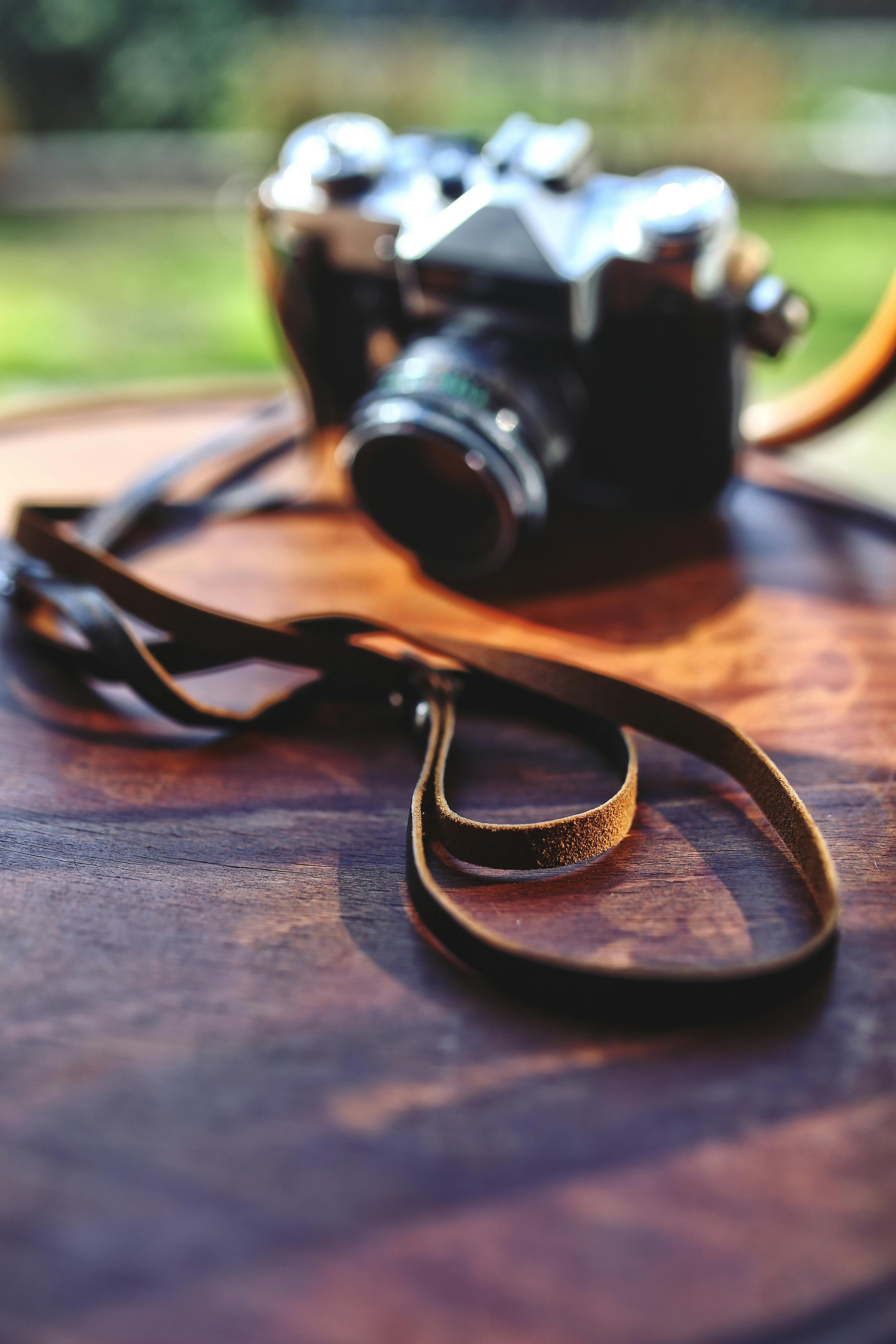 Leather strap · Free Stock Photo