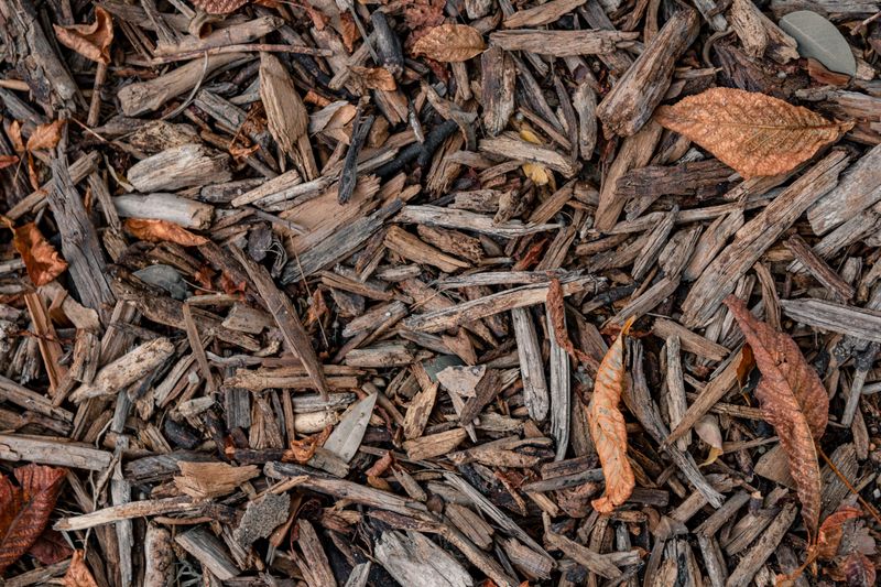 Comment préparer son jardin pour l'hiver