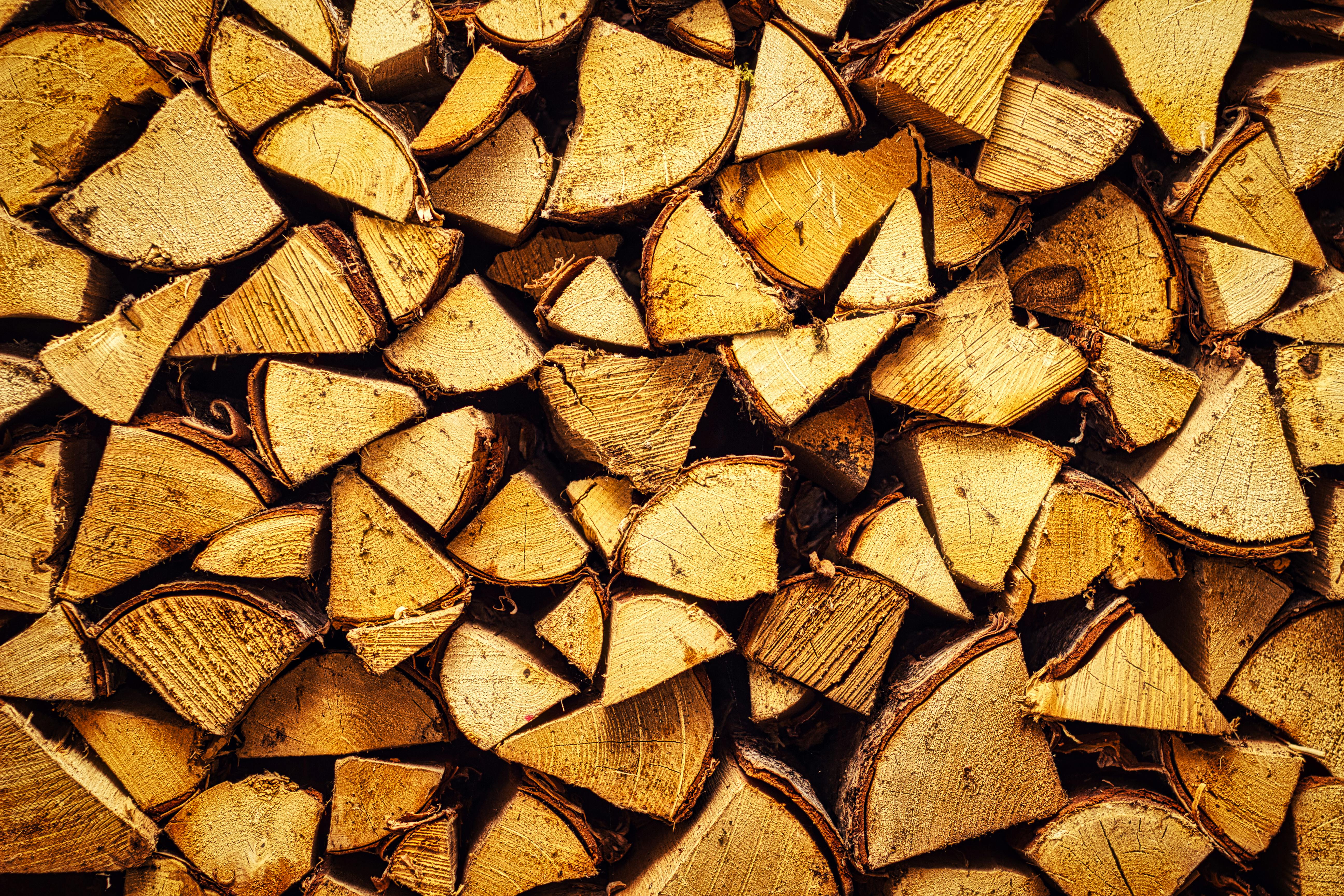 We Hauled Rocks, Stacked Wood, and Planted Seeds to Find the Best Gardening Gloves — Photo by Ville Aalto on Pexels