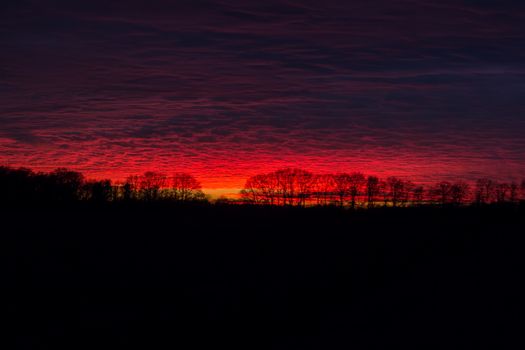 Stunning red sunset with silhouetted trees and dramatic skies creating a vibrant landscape.