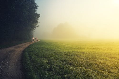 People Walking on Dirt Road Near Green Grass Field