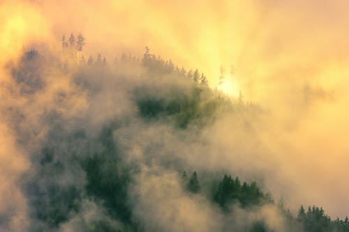 Free Fog Over a Mountain With Green Trees Stock Photo