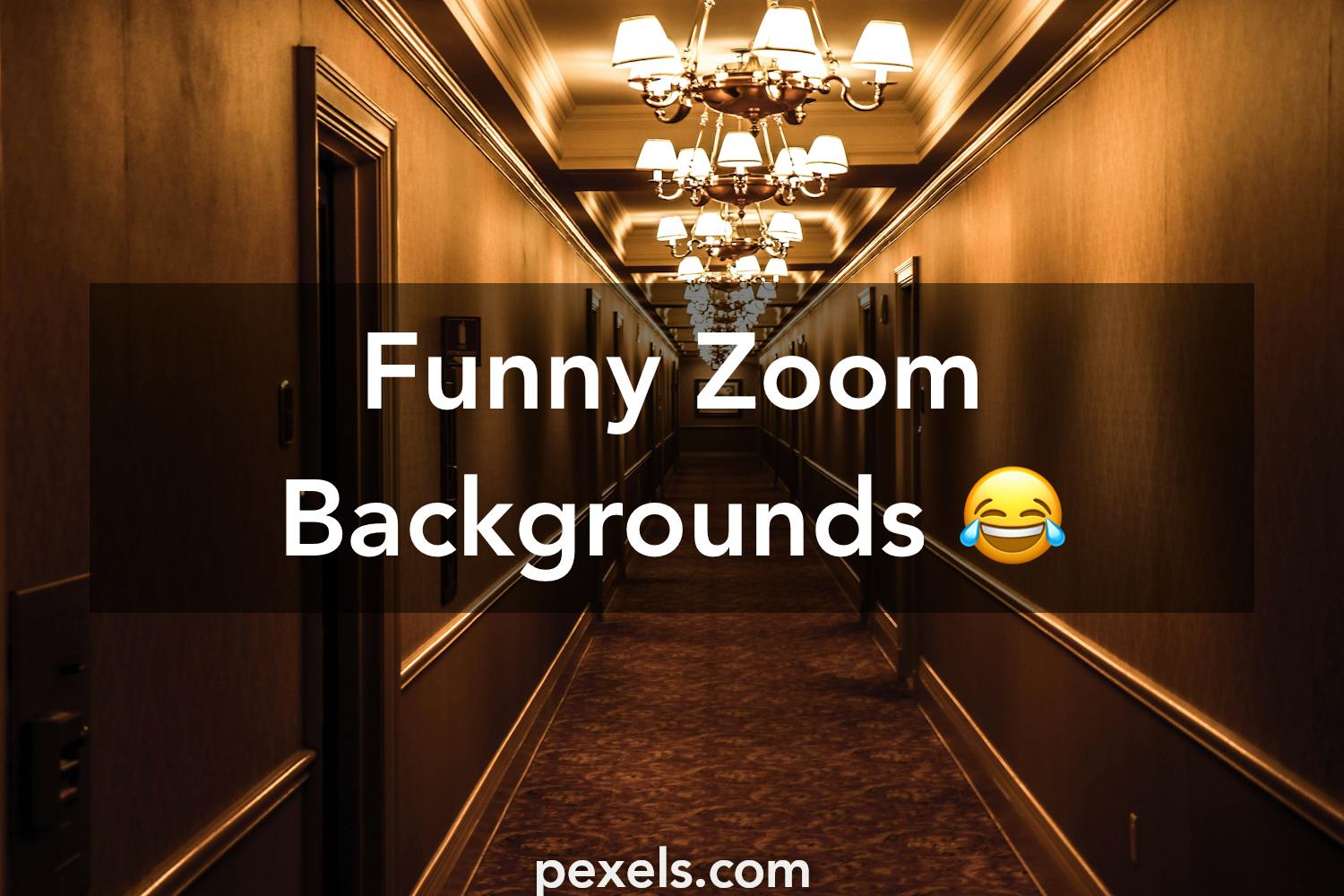 Funny Zoom Background Template
