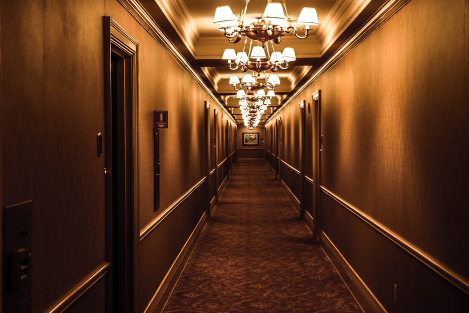 architecture, carpet, chandeliers