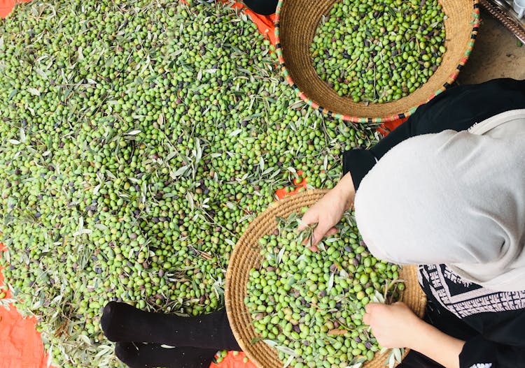 Woman Wearing Headscarf  Sifting Seeds