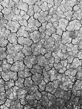 A close-up of cracked dry earth showing a unique natural pattern, captured in Kent, UK.