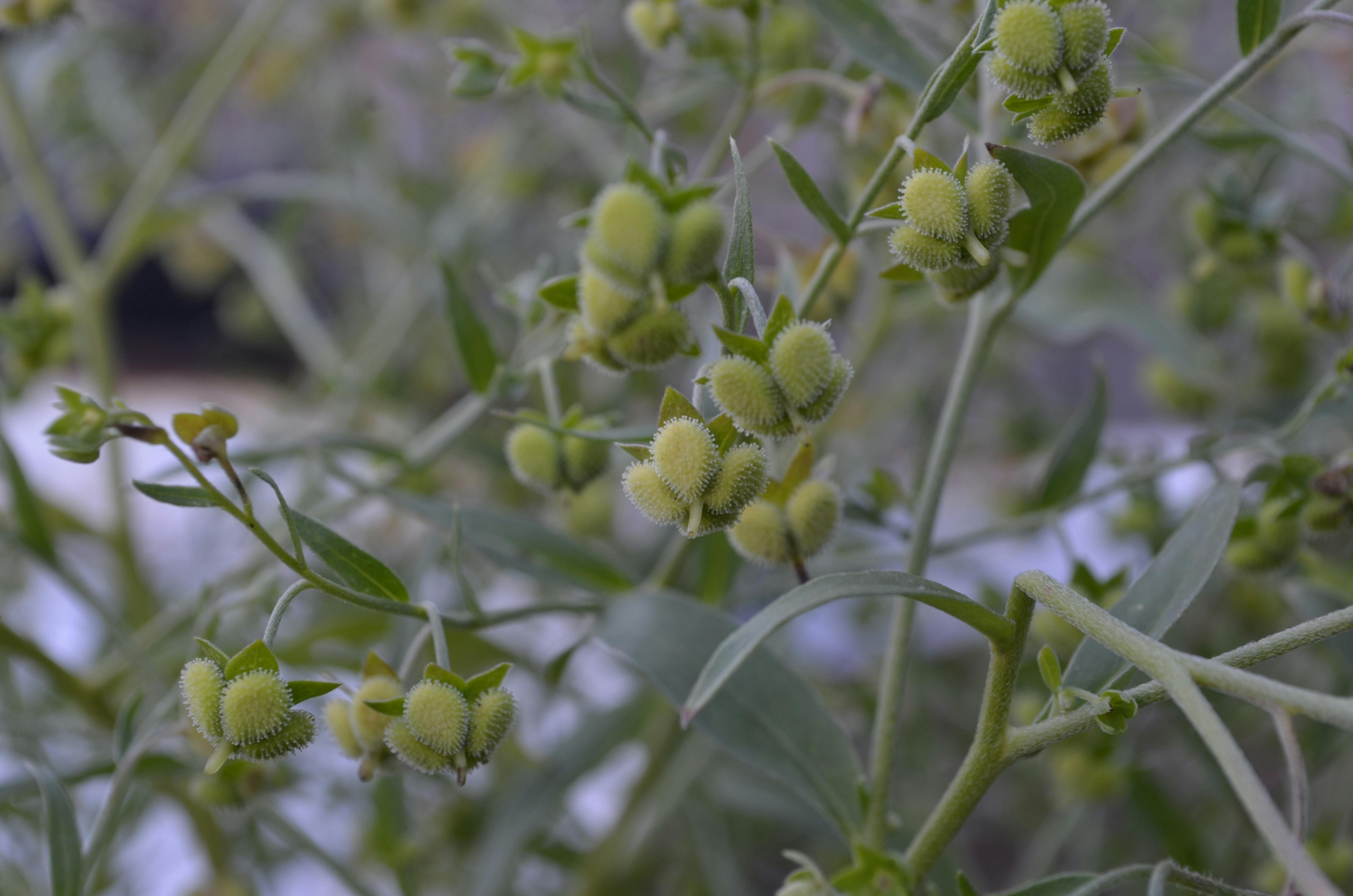 Enkhbold Ganbold Fotografie