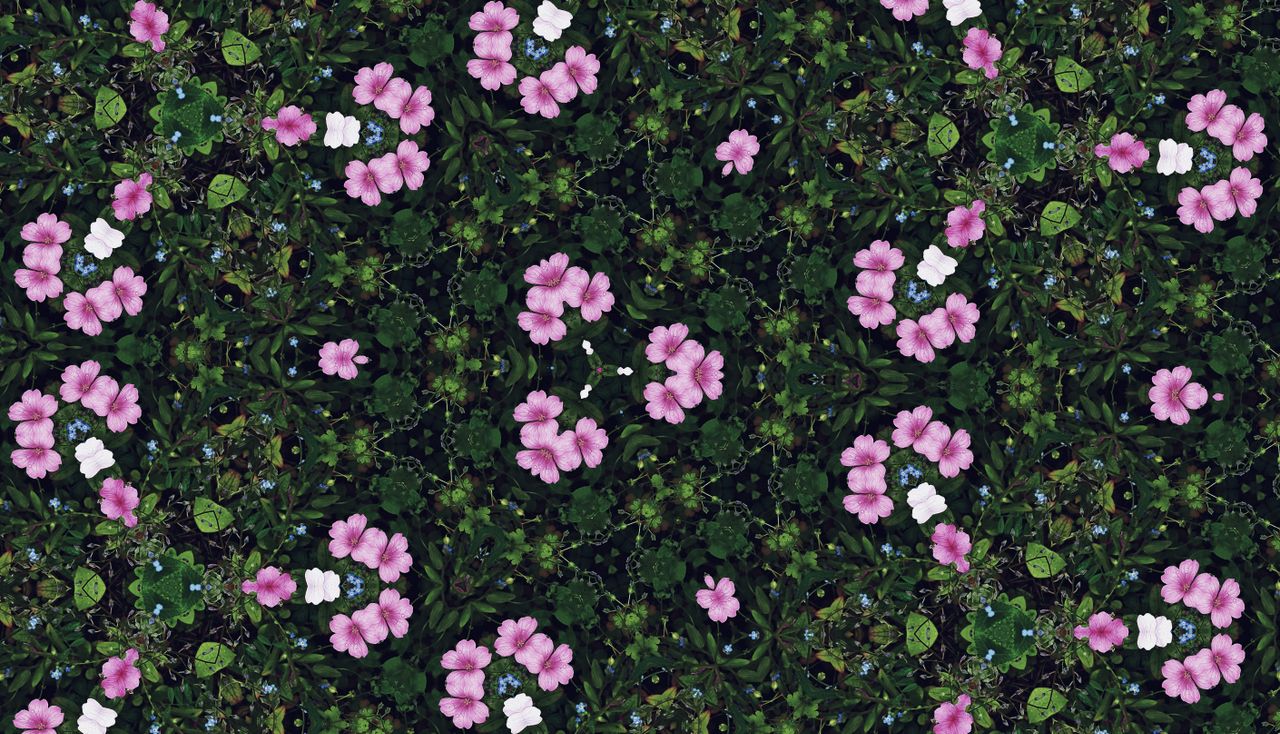 a colorful kaleidoscope pattern featuring pink and white flowers with